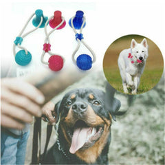 Suction Cup Dog Chew Toy
