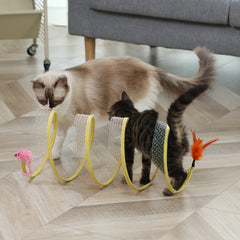 Cat Toy Set with Tunnel