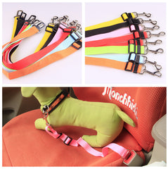 Polyester Dog Leash Fixed Strap