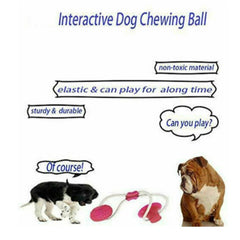 Suction Cup Dog Chew Toy