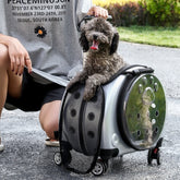 Portable Pet Carrier Backpack Trolley