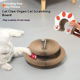 Foldable Magnetic Cat Scratcher Toy