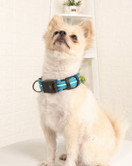 LED Rechargeable Waterproof Pet Collar