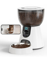 Smart Automatic Cat Feeder with Camera