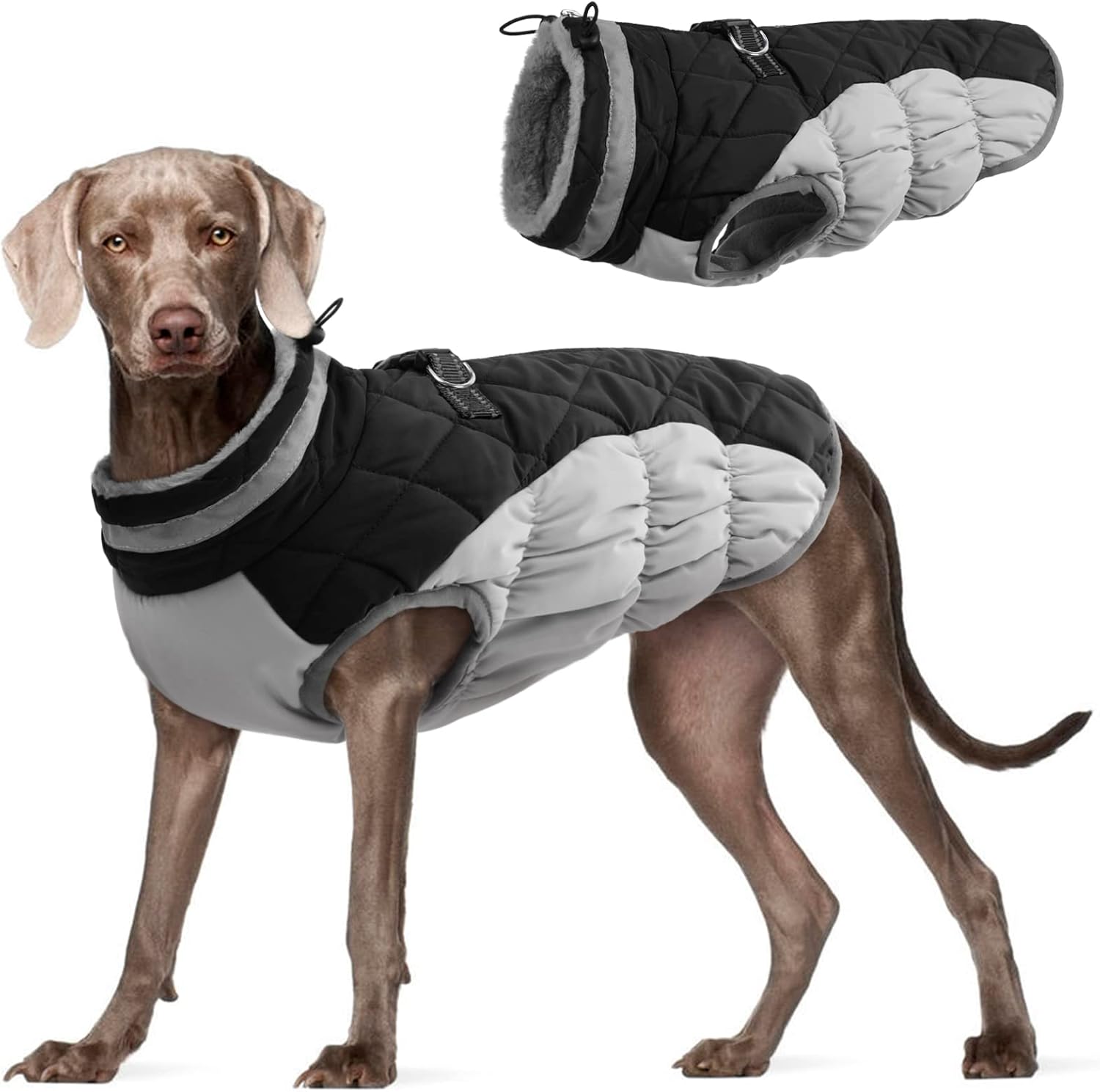 FUAMEY Dog Coat for Small Dogs,Waterproof Dog Winter Jacket with Harness Built in Puppy Cold Weather Coats Reflective Pet Vest with Zipper Warm Fleece Dogs Snowsuit Windproof Purple XS