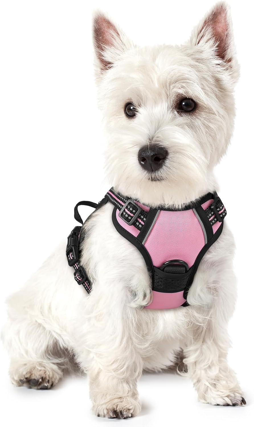 rabbitgoo Dog Harness No Pull with 2 Leash Clips, Adjustable Soft Padded, Reflective Oxford No Choke Pet Vest with Easy Control Handle for Large Dogs, Black, L