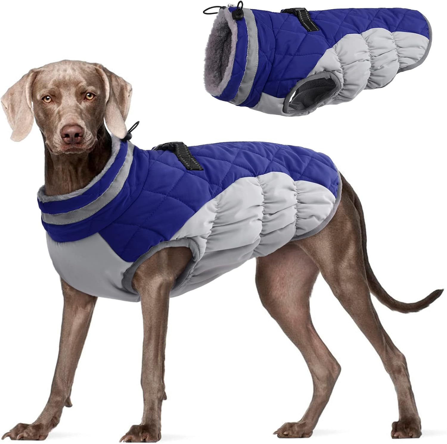 FUAMEY Dog Coat for Small Dogs,Waterproof Dog Winter Jacket with Harness Built in Puppy Cold Weather Coats Reflective Pet Vest with Zipper Warm Fleece Dogs Snowsuit Windproof Purple XS
