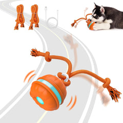 Auto-Rolling Motion Activated Ball