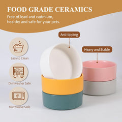 Ceramic Elevated Bamboo Feeder