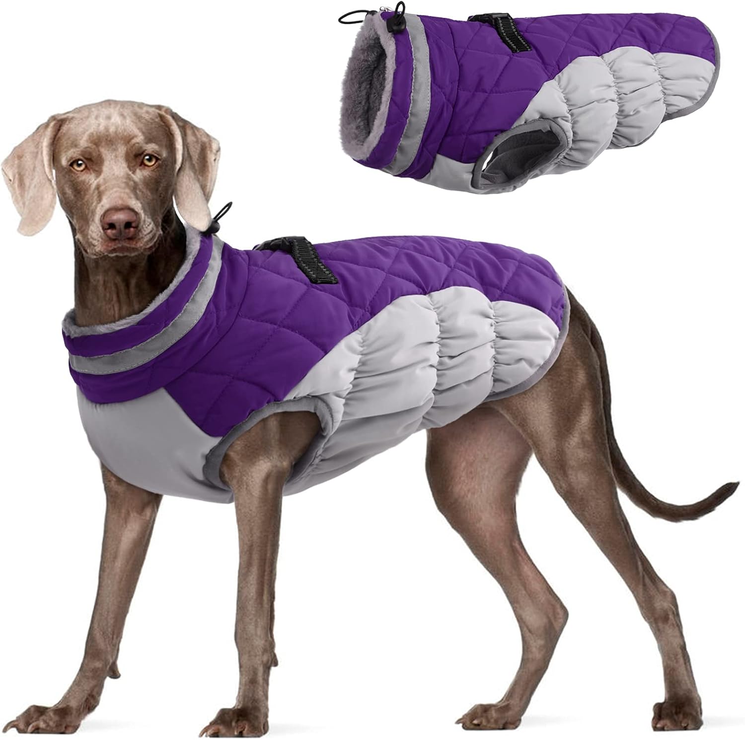FUAMEY Dog Coat for Small Dogs,Waterproof Dog Winter Jacket with Harness Built in Puppy Cold Weather Coats Reflective Pet Vest with Zipper Warm Fleece Dogs Snowsuit Windproof Purple XS