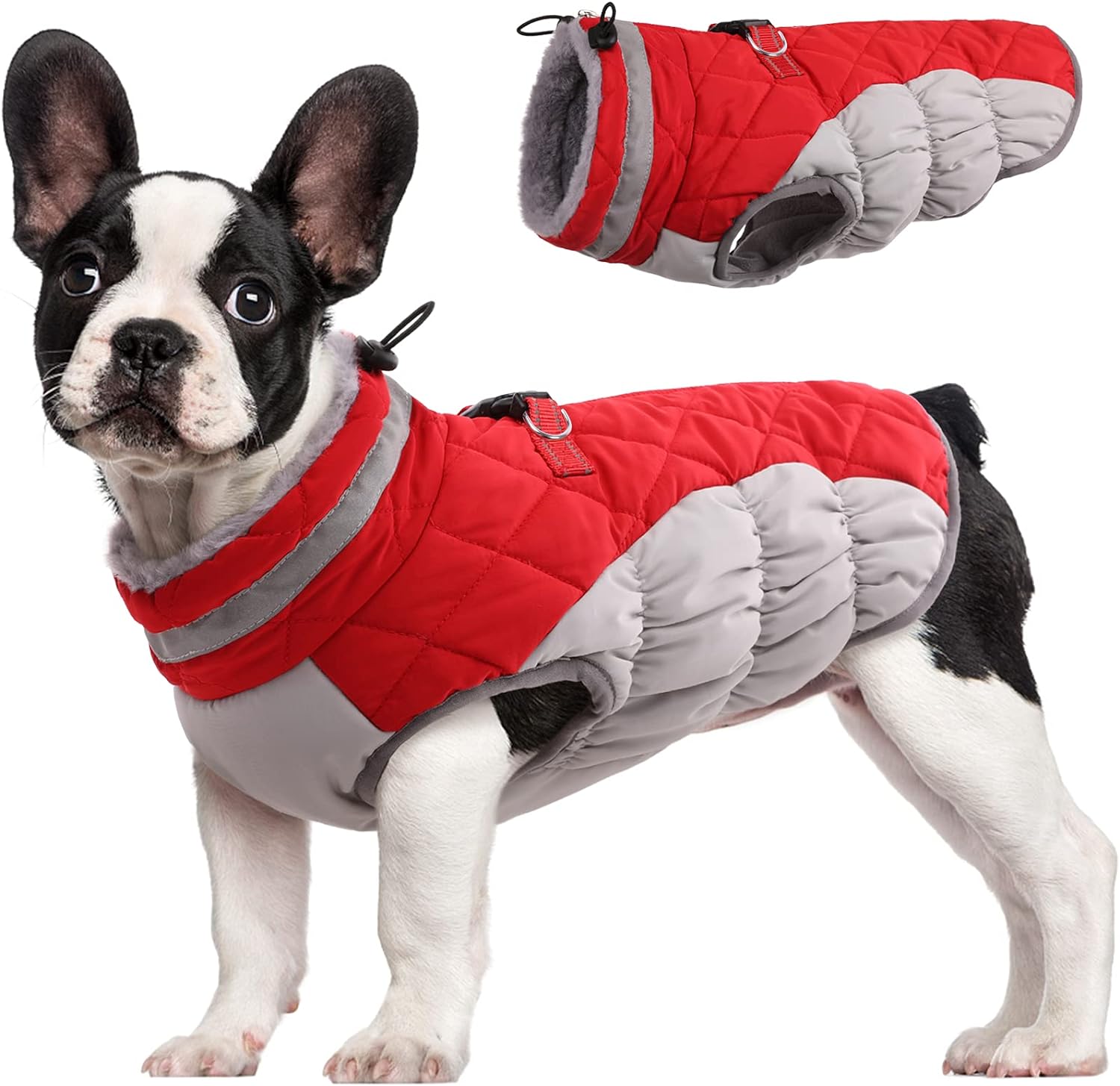 FUAMEY Dog Coat for Small Dogs,Waterproof Dog Winter Jacket with Harness Built in Puppy Cold Weather Coats Reflective Pet Vest with Zipper Warm Fleece Dogs Snowsuit Windproof Purple XS