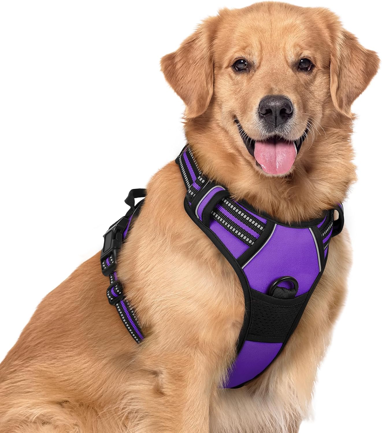 rabbitgoo Dog Harness No Pull with 2 Leash Clips, Adjustable Soft Padded, Reflective Oxford No Choke Pet Vest with Easy Control Handle for Large Dogs, Black, L