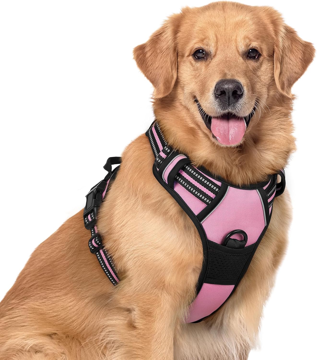 rabbitgoo Dog Harness No Pull with 2 Leash Clips, Adjustable Soft Padded, Reflective Oxford No Choke Pet Vest with Easy Control Handle for Large Dogs, Black, L
