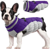 Waterproof Dog Winter Coat