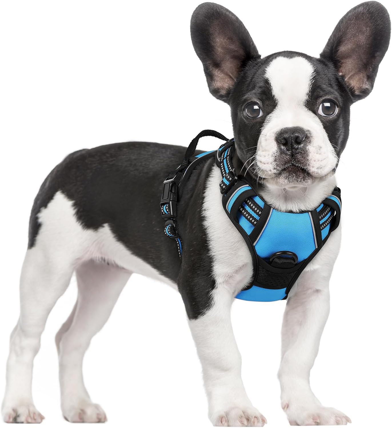 rabbitgoo Dog Harness No Pull with 2 Leash Clips, Adjustable Soft Padded, Reflective Oxford No Choke Pet Vest with Easy Control Handle for Large Dogs, Black, L