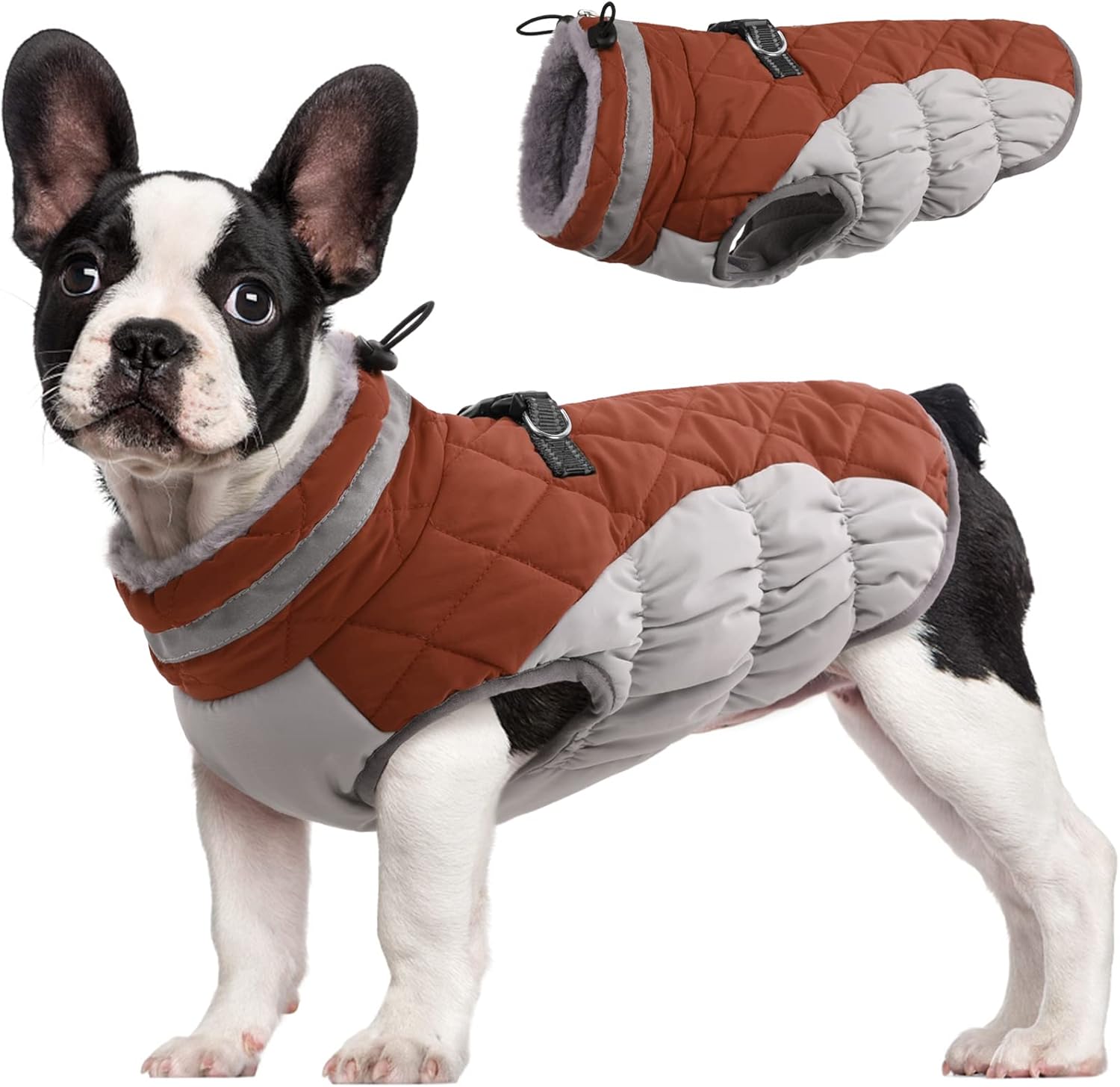 FUAMEY Dog Coat for Small Dogs,Waterproof Dog Winter Jacket with Harness Built in Puppy Cold Weather Coats Reflective Pet Vest with Zipper Warm Fleece Dogs Snowsuit Windproof Purple XS