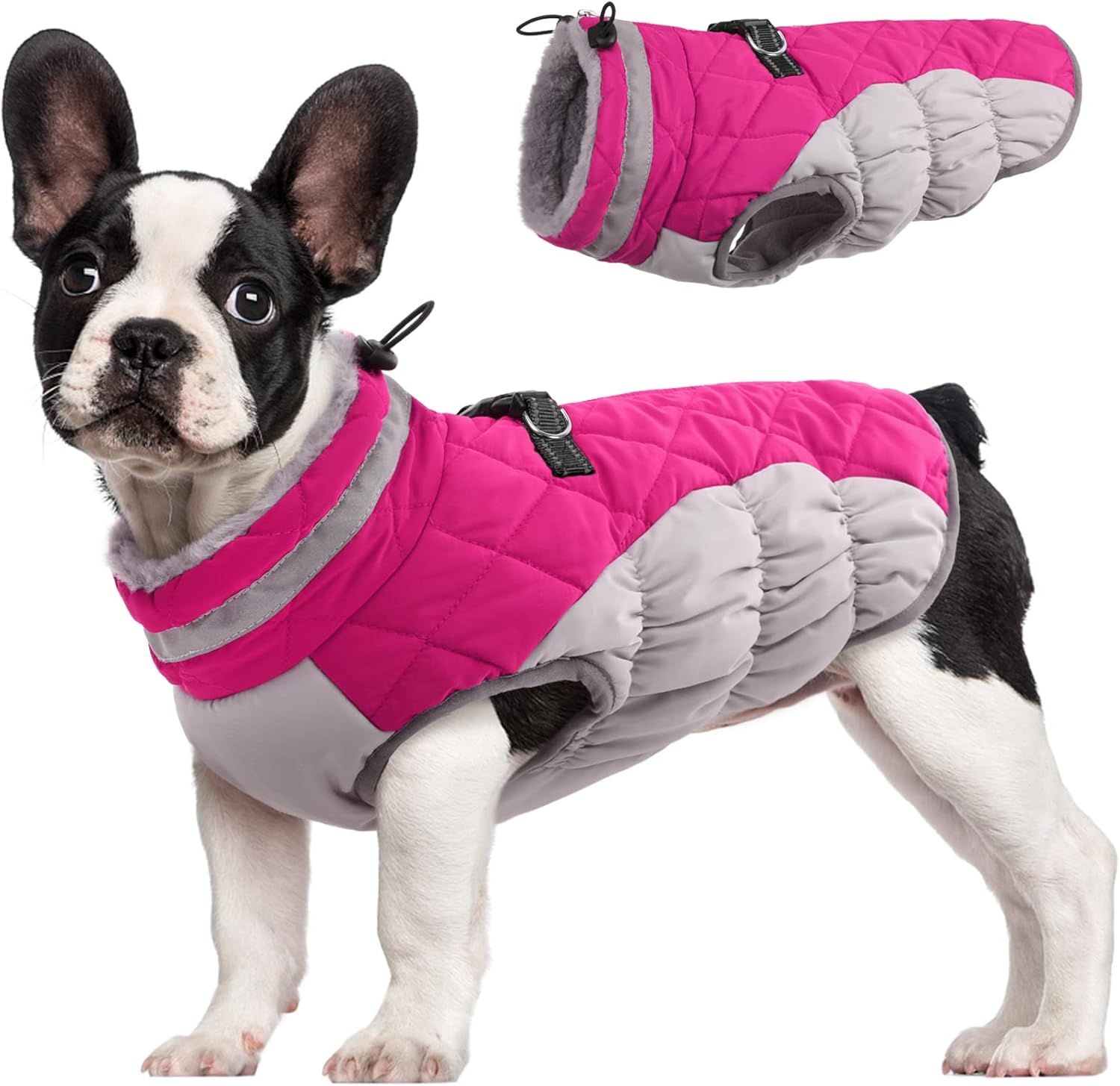 FUAMEY Dog Coat for Small Dogs,Waterproof Dog Winter Jacket with Harness Built in Puppy Cold Weather Coats Reflective Pet Vest with Zipper Warm Fleece Dogs Snowsuit Windproof Purple XS