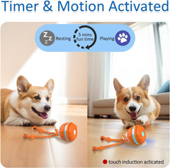 Auto-Rolling Motion Activated Ball