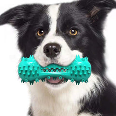 Dog Toothbrush Chew Toy Stick
