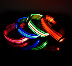 LED Rechargeable Waterproof Pet Collar