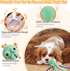 Squeaky Plush Dog Toys