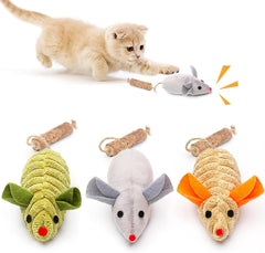 3-Pack Squeaky Chew Toys