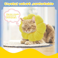 Sunflower Pet Recovery Collar - Soft Cone