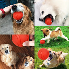 Bite-Resistant Dog Ball Toy