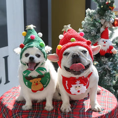Christmas Pet Hat & Scarf