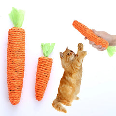 Cat Carrot Chew Toy