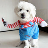 Fun Dress-Up Pet Costume