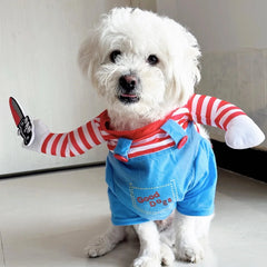 Fun Dress-Up Pet Costume