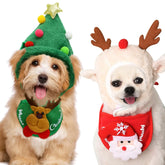 Christmas Pet Hat & Scarf