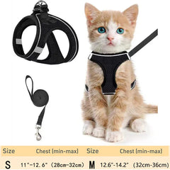Adjustable Kitten Walking Vest