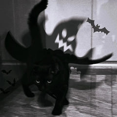 Bat Wing Pet Costume