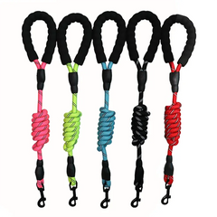 Safe Reflective Pet Leash