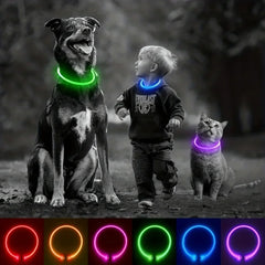 USB Rechargeable LED Collar