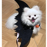Bat Wing Pet Costume