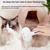 Pet Spray Grooming Brush