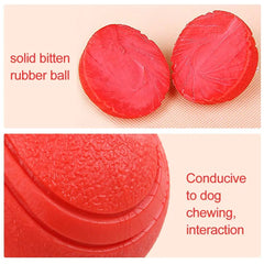 Bite-Resistant Dog Ball Toy