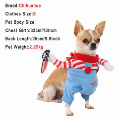 Fun Dress-Up Pet Costume