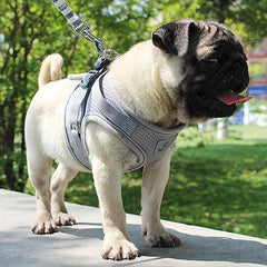 Pet Harness with Traction Rope