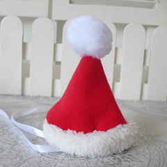 Santa Claus Pet Costume