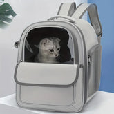 Transparent Capsule Pet Backpack