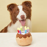 Dog Birthday Cake Plush Toy