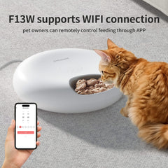 WiFi Automatic Pet Feeder - 6 Meals