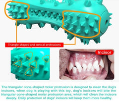 Dog Toothbrush Chew Toy Stick