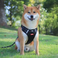 No-Pull Reflective Dog Harness Vest