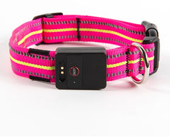 LED Rechargeable Waterproof Pet Collar