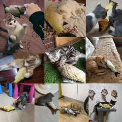 Electric Flopping Fish Cat Toy